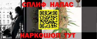 гашик Тулун