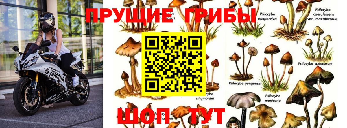 Десногорск  Псилоцибиновые грибы мухоморы  наркошоп  Вход с VPN 